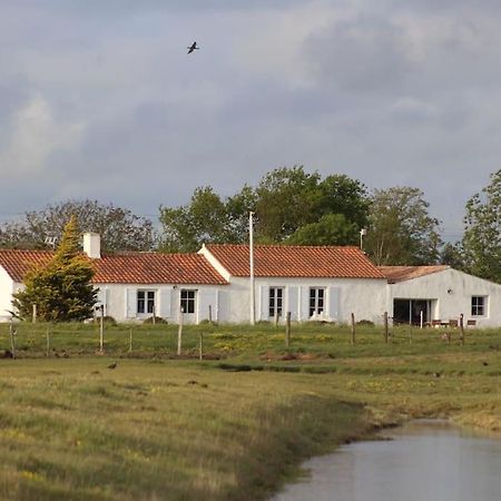 Maison De Charme Au Coeur Des Marais Pour 6 Pers. Bouin  외부 사진