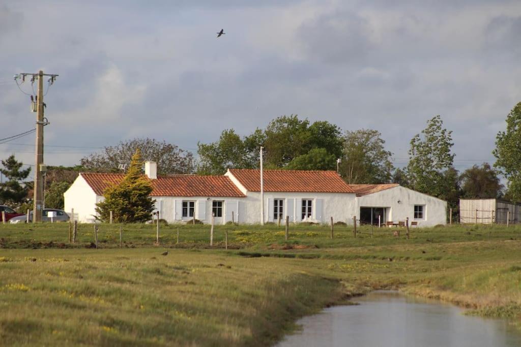 Maison De Charme Au Coeur Des Marais Pour 6 Pers. Bouin  외부 사진